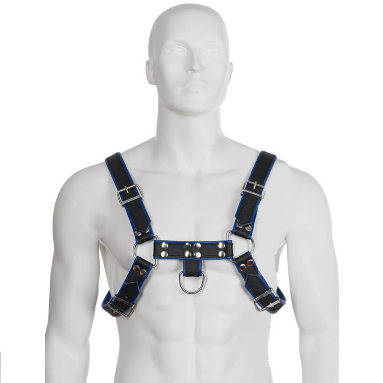 Imagen que nos facilita LEATHER BODY de su producto erótico LEATHER BODY - ARNÉS CUERO AZUL Y NEGRO CHEST BULLDOG para nuestra categoría "MODA & LENCERÍA|Lencería Hombre|Arneses Hombre".