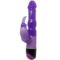 Imagen que nos facilita BAILE VIBRATORS de su producto erótico BAILE - WAVES OF PLEASURE FANTASY VIBRADOR CON RABBIT LILA 23 CM para nuestra categoría "JUGUETES BIENESTAR |Vibradores|Vibradores Rabbit".
