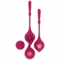 Imagen que nos facilita RITHUAL de su producto erótico SET DEVA RITUAL ENTRENAMIENTO PELVICO ORQUIDEA para nuestra categoría "JUGUETES BIENESTAR |Juguetes para Mujeres|Bolas Chinas|Bolas Silicona".