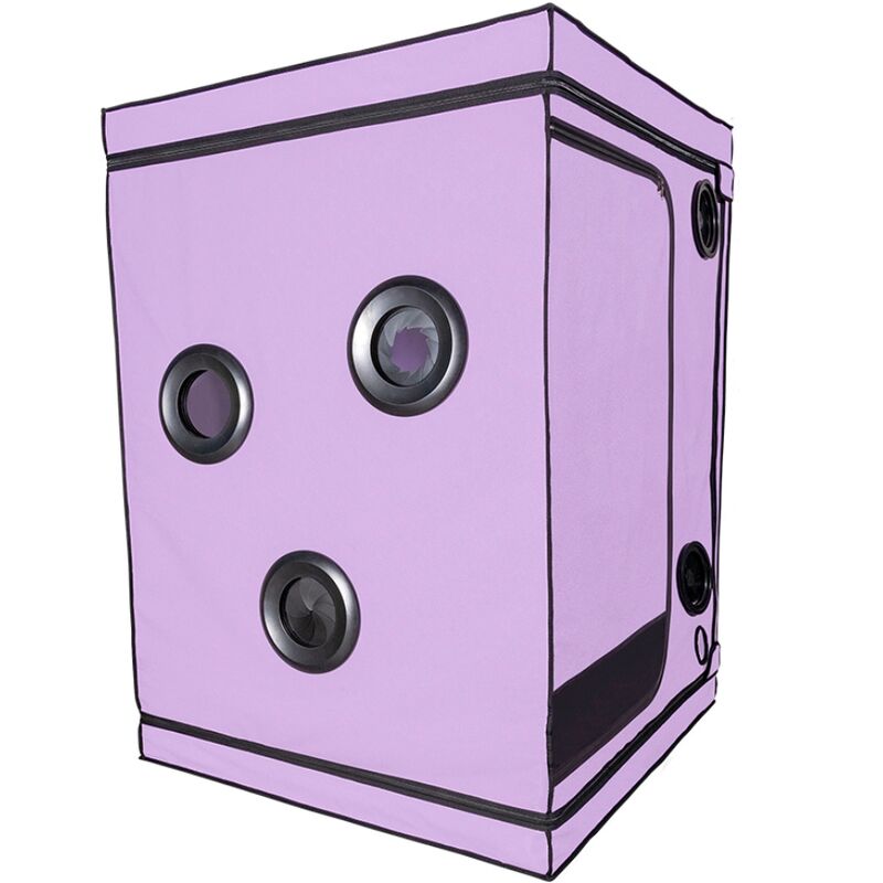 Imagen que nos facilita SECRET DOME de su producto erótico SECRET DOME - KINK CLUB CABINA SCANDALE MORADO para nuestra categoría "BDSM & BONDAGE |Artículos BDSM".