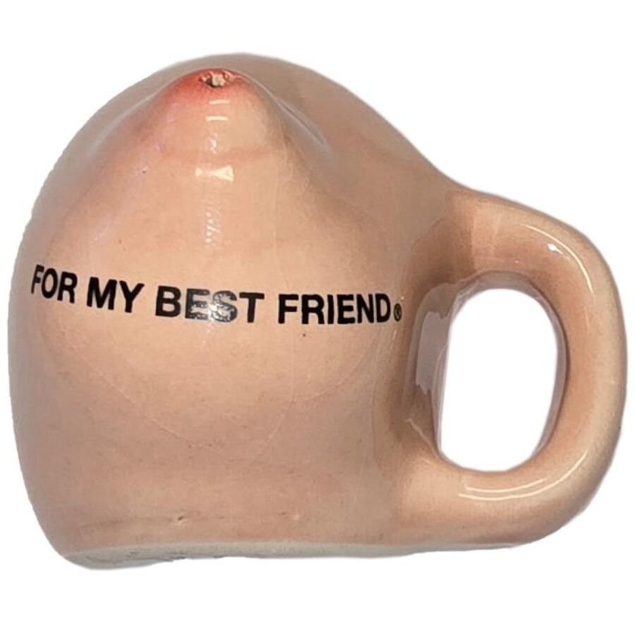 La marca DIABLO PICANTE nos facilita esta imagen de su producto DIABLO PICANTE – IMÁN DE 1 PECHO EN TAZA CERÁMICA “FOR MY BEST FRIEND” para nuestro catálogo.
