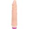La marca BAILE VIBRATORS nos facilita esta imagen de su producto BAILE - WAVES OF PLEASURE VIBRADOR 21.5 CM PRINCIPIANTES para nuestro catálogo.